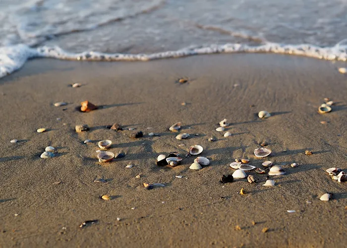 Modern In A With Pool